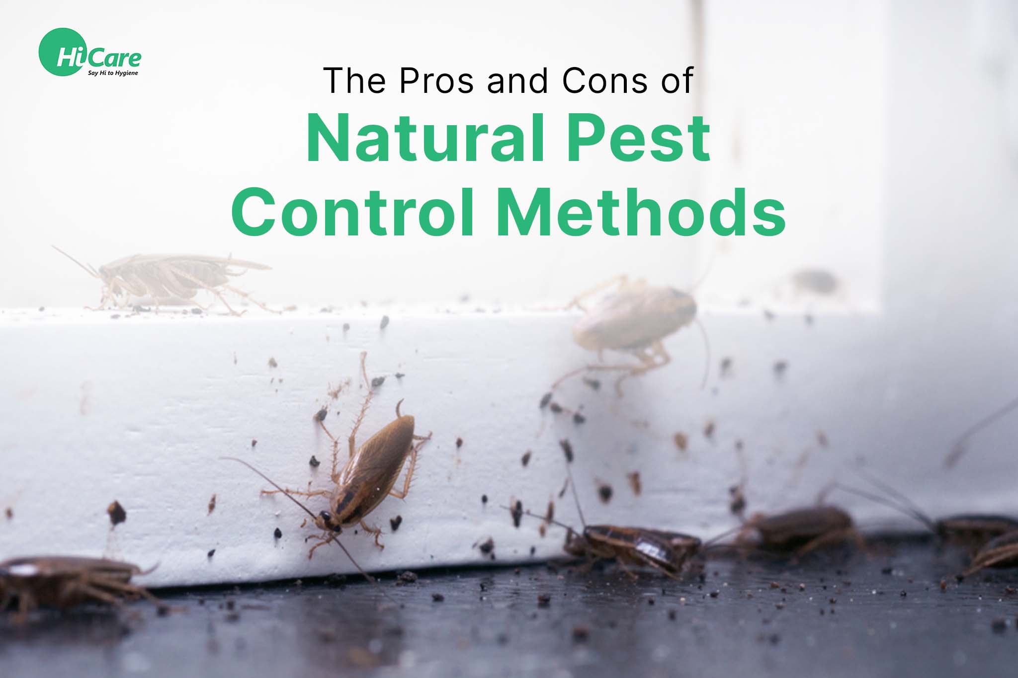 The Pros and Cons of Natural Pest Control Methods