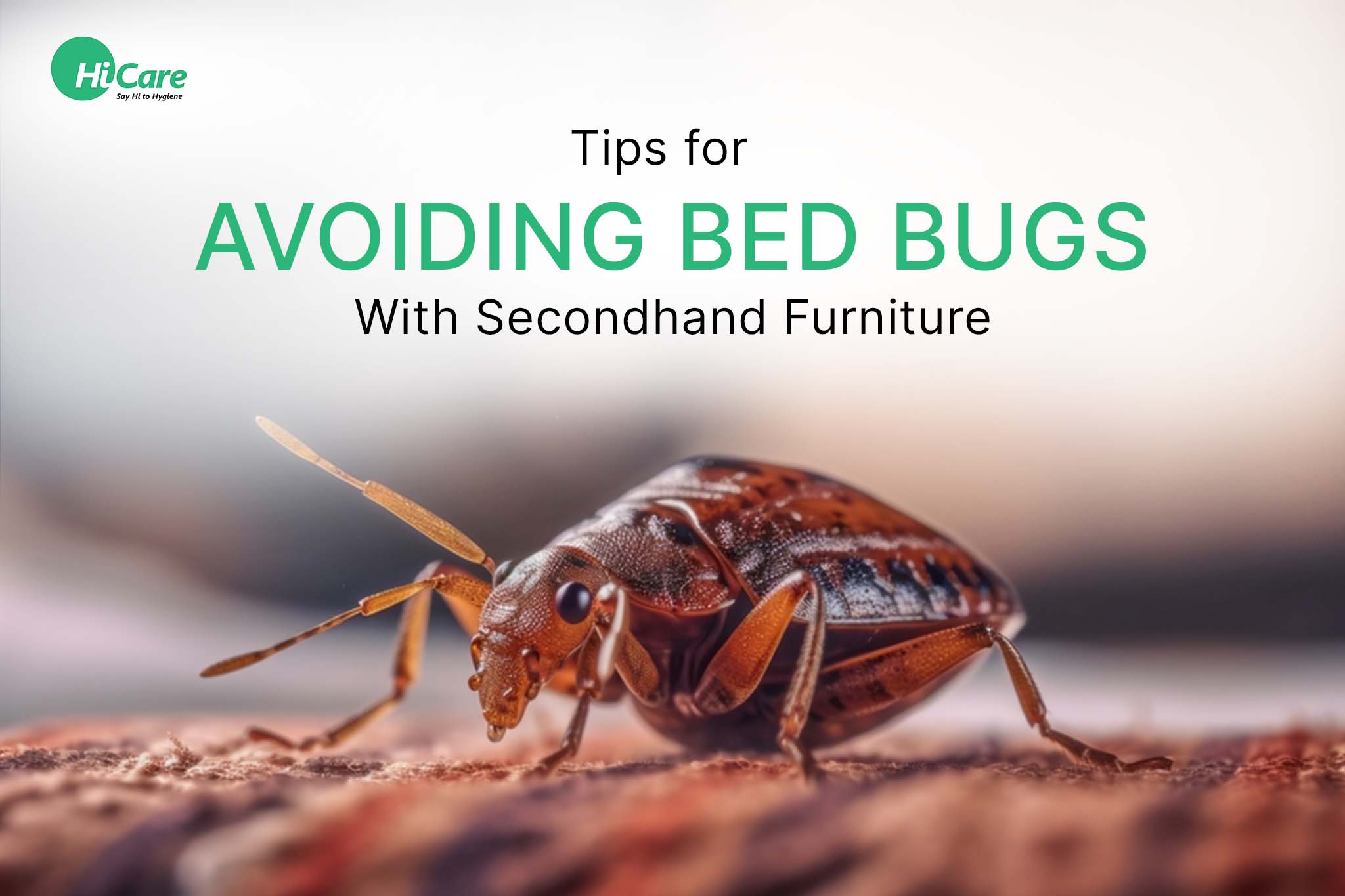 best tips for avoiding bed bugs with secondhand furniture
