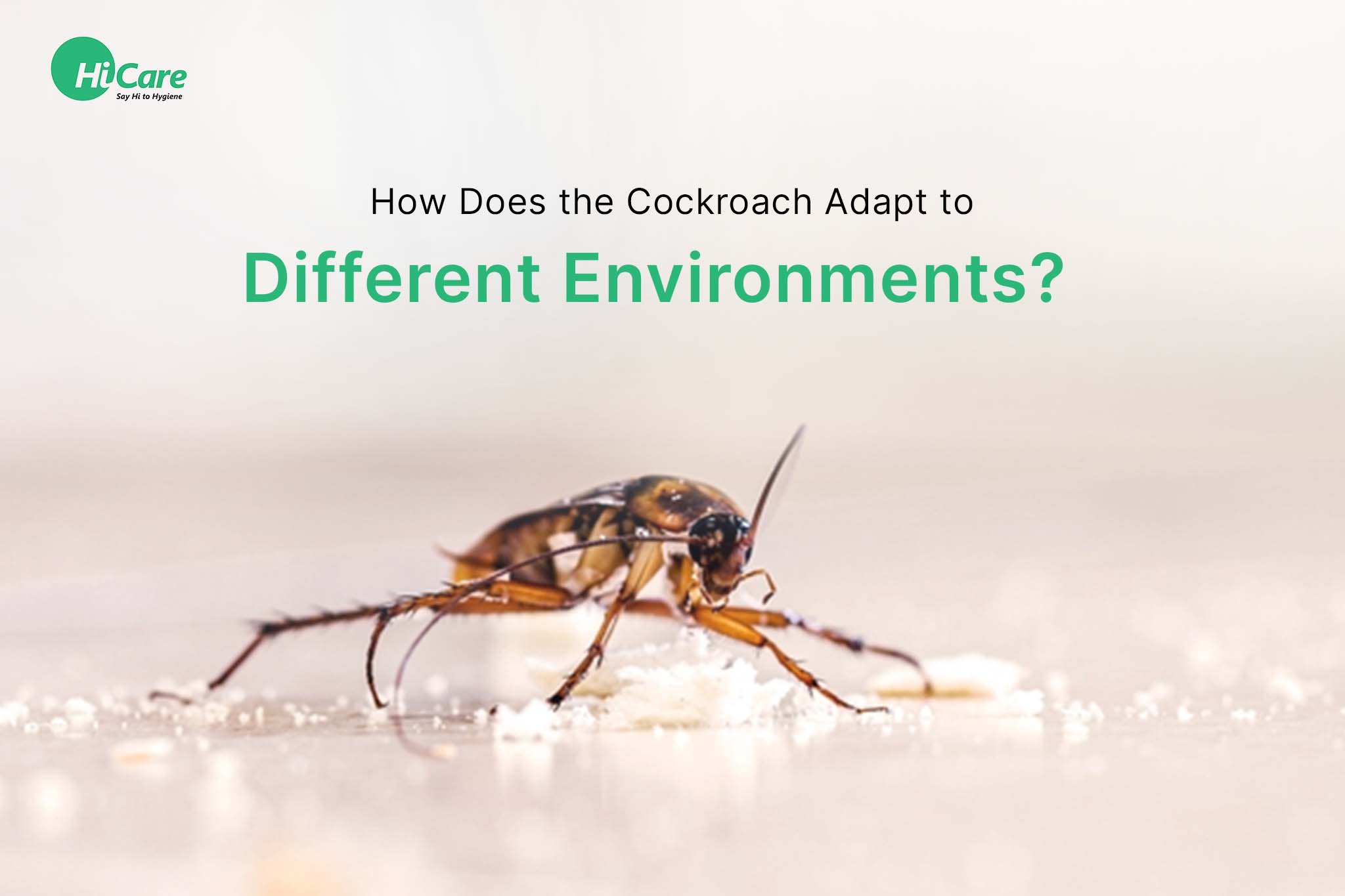How Does the Cockroach Adapt to Different Environments?