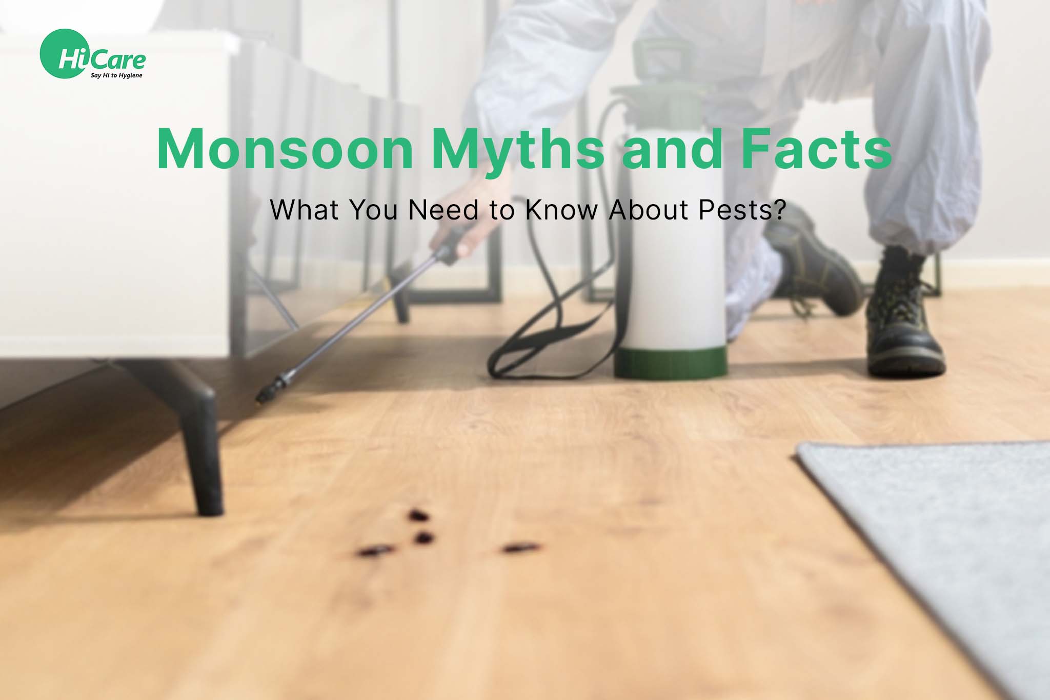 Monsoon Myths and Facts: What You Need to Know About Pests?