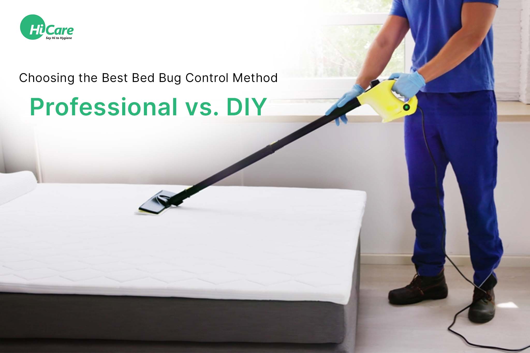 Professional vs. DIY: Choosing the Best Bed Bug Control Method