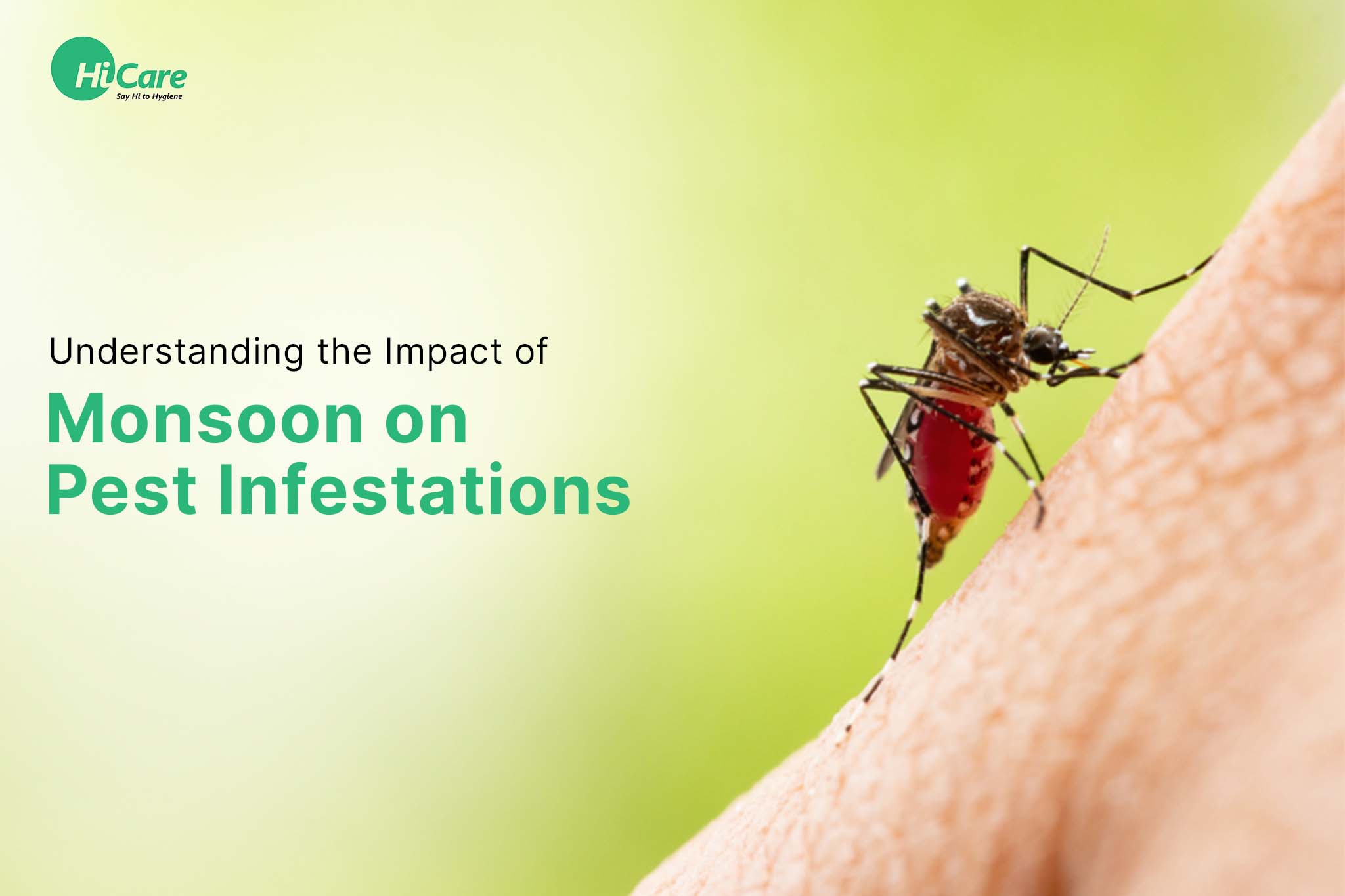 understanding the impact of monsoon on pest infestations