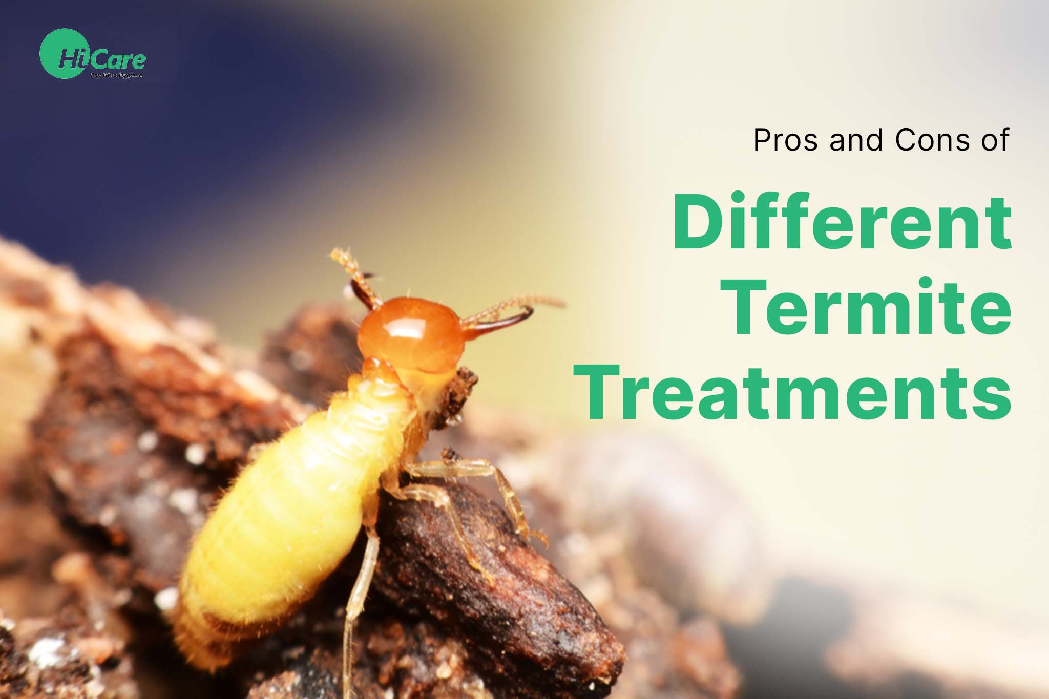 Pros and Cons of Different Termite Treatments