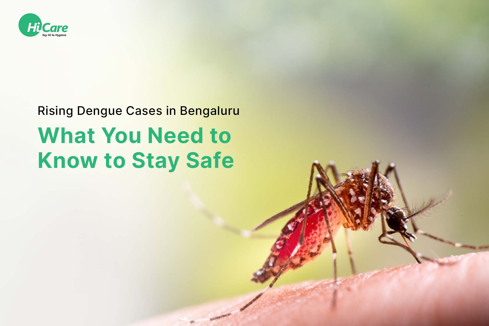 Rising Dengue Cases in Bengaluru: What You Need to Know to Stay Safe