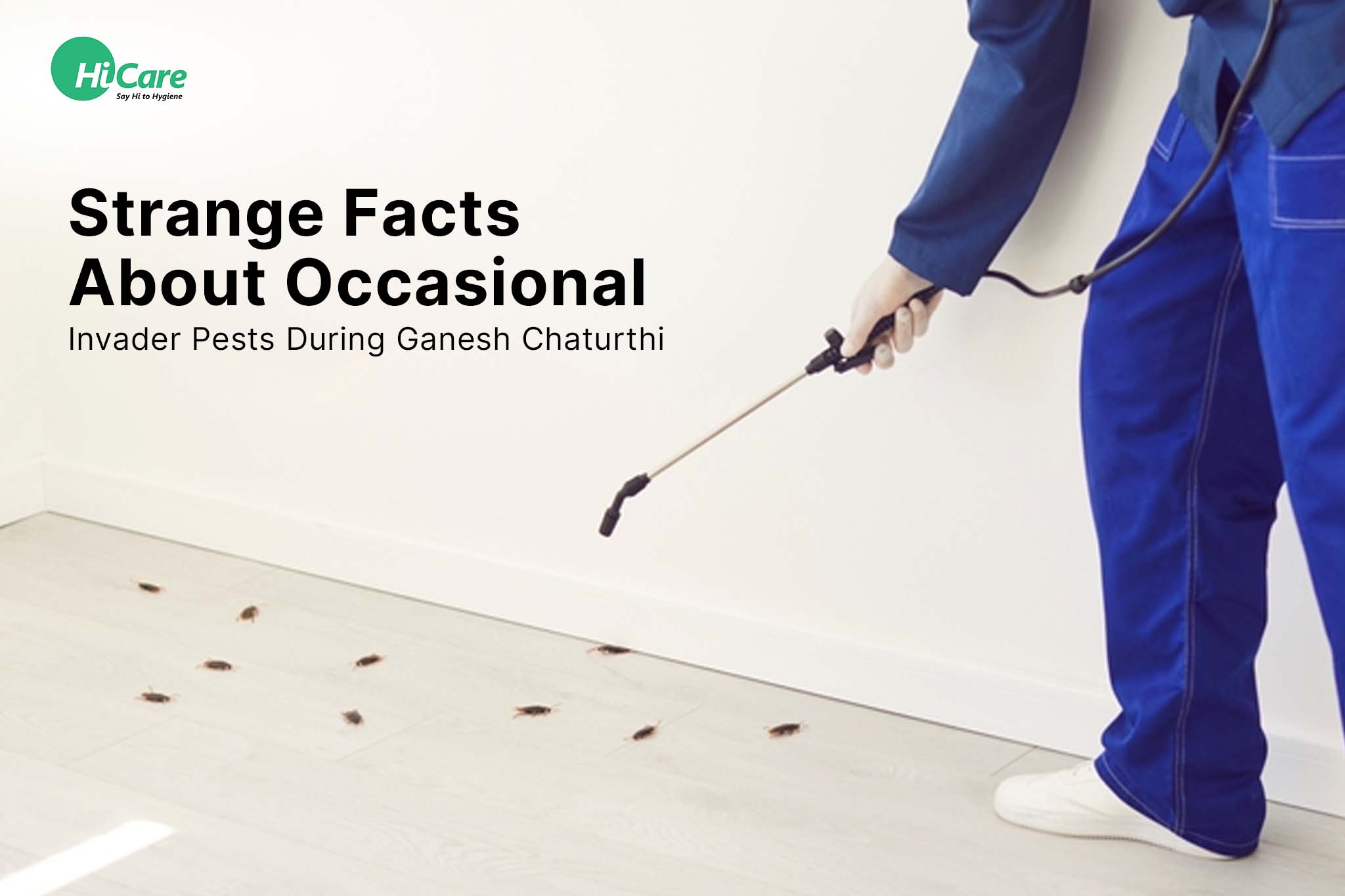 strange facts about occasional invader pests