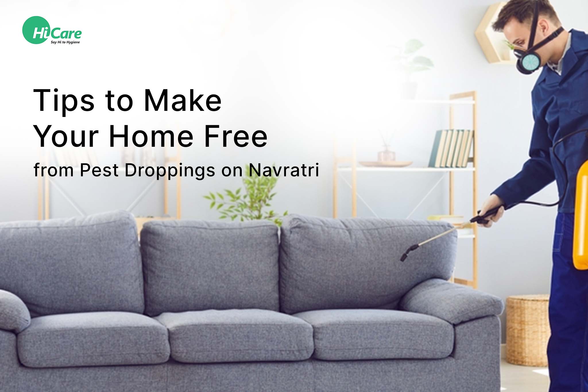 5 Tips to Make Your Home Free from Pest Droppings on Navratri