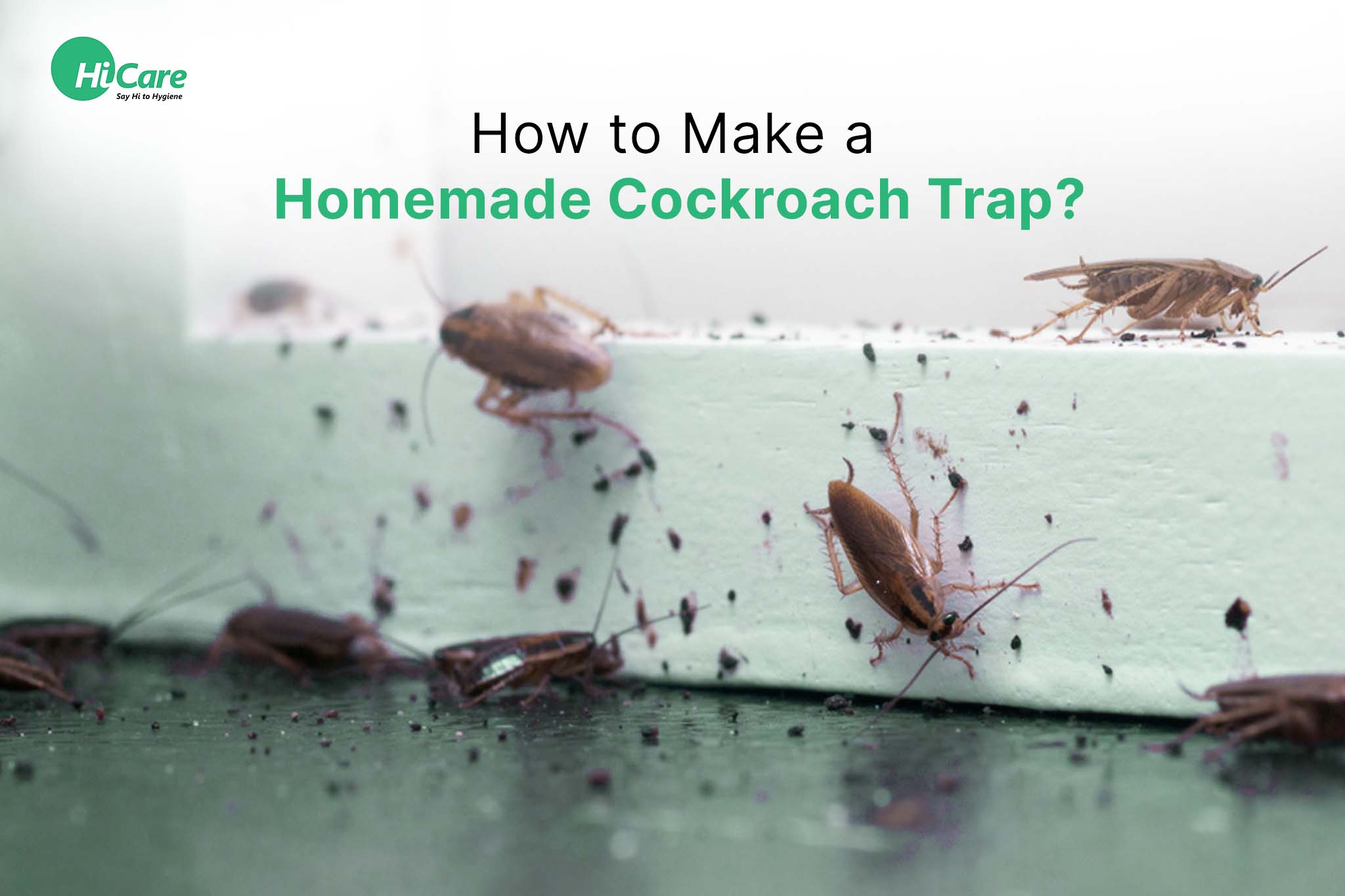 How to Make a Homemade Cockroach Trap?