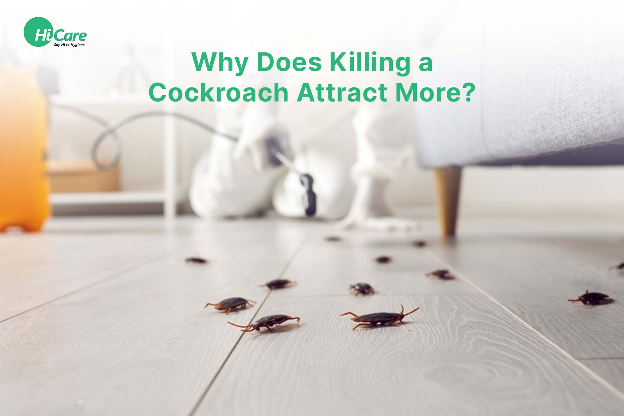 Why Does Killing a Cockroach Attract More?