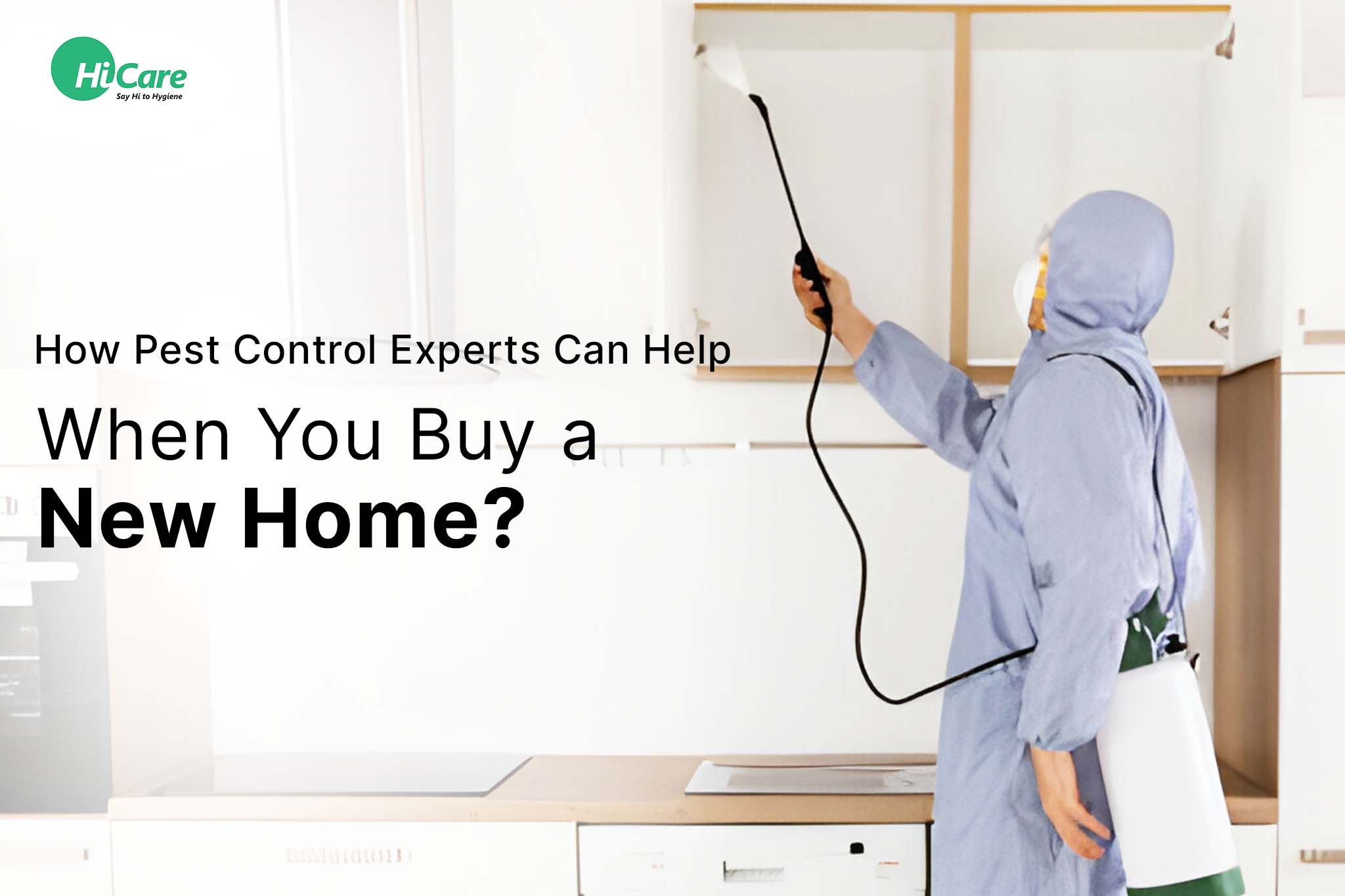 How Pest Control Experts Can Help When You Buy a New Home?