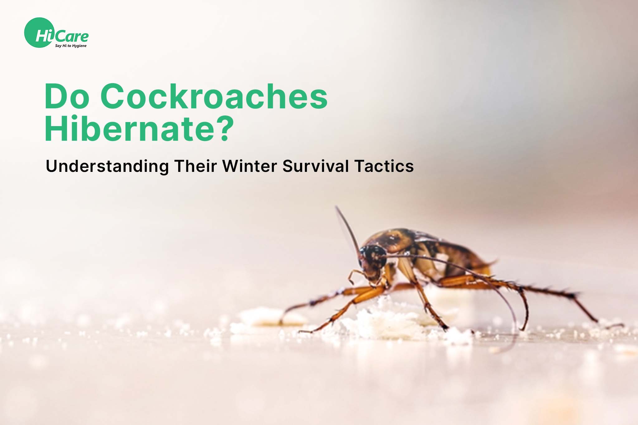 Do Cockroaches Hibernate? Understanding Their Winter Survival Tactics