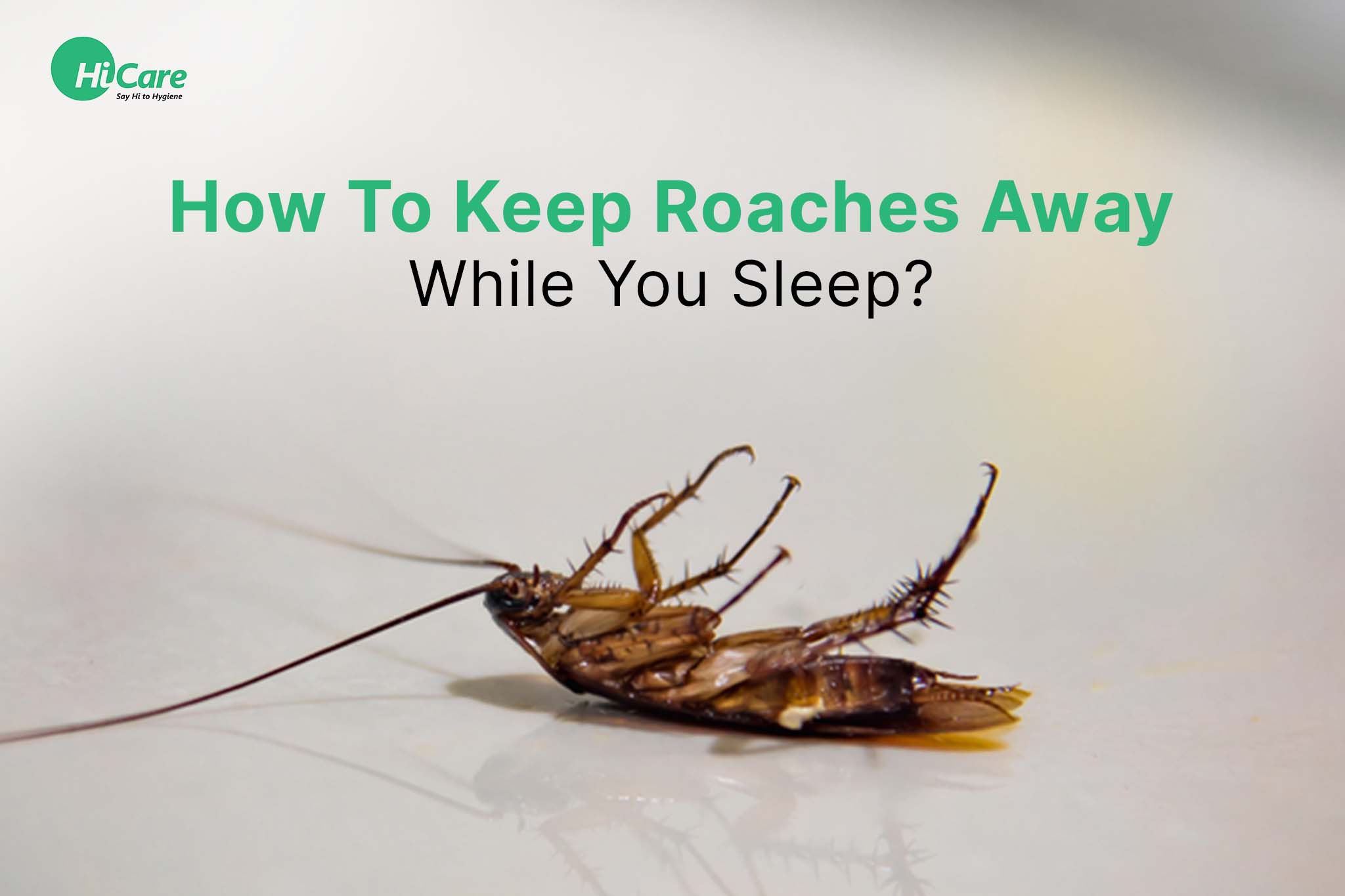 how to keep roaches away while you sleep