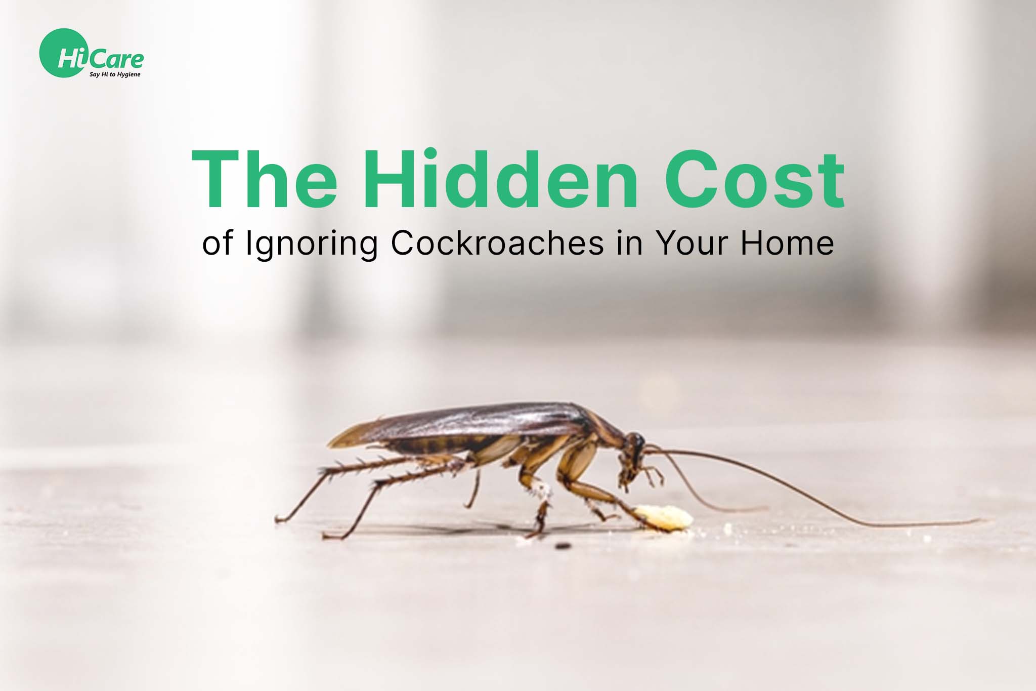 The Hidden Cost of Ignoring Cockroaches in Your Home