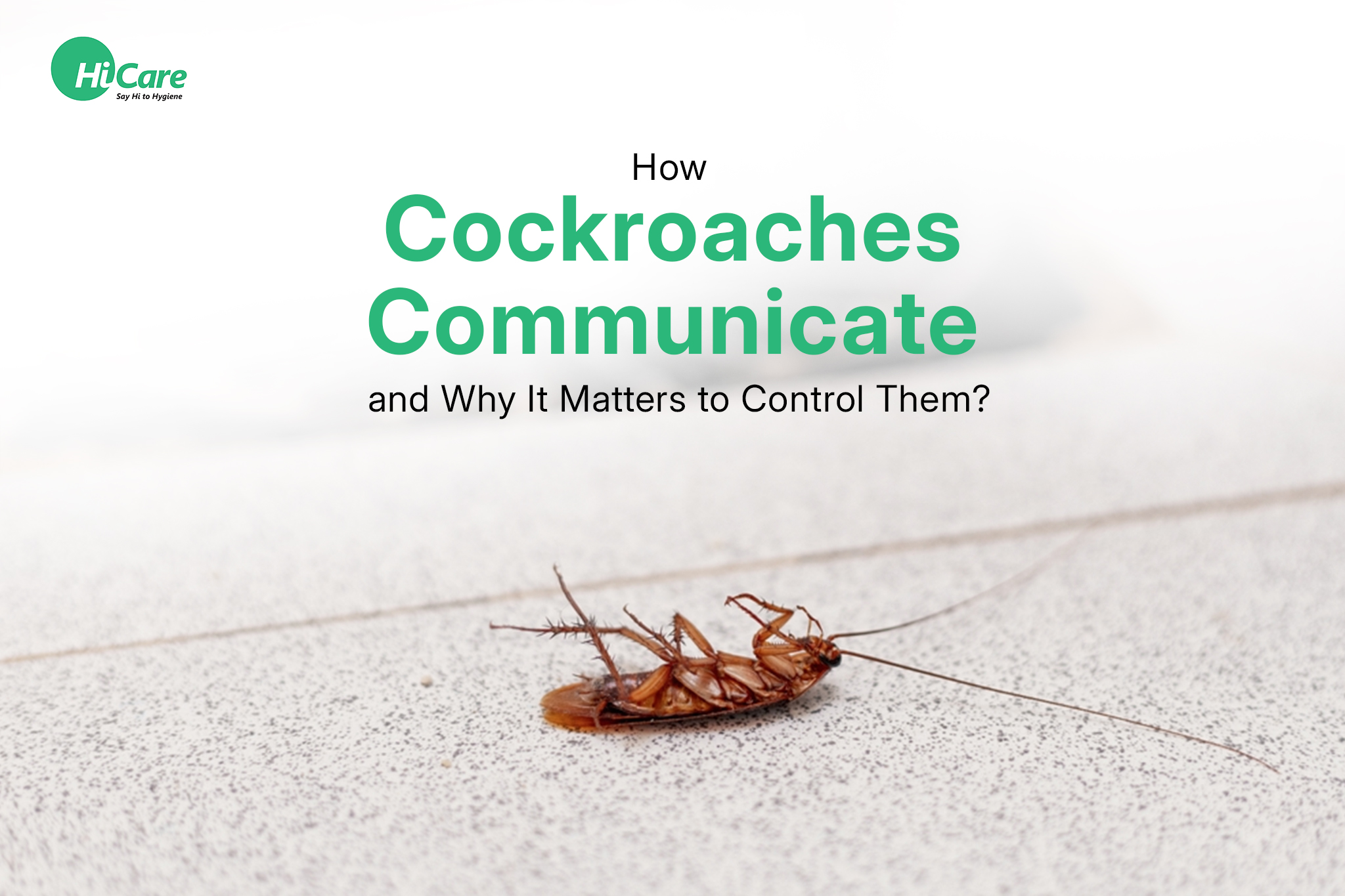 How Cockroaches Communicate and Why It Matters to Control Them?