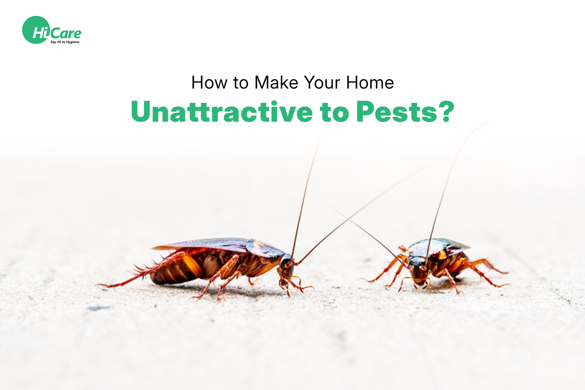 How to Make Your Home Unattractive to Pests?