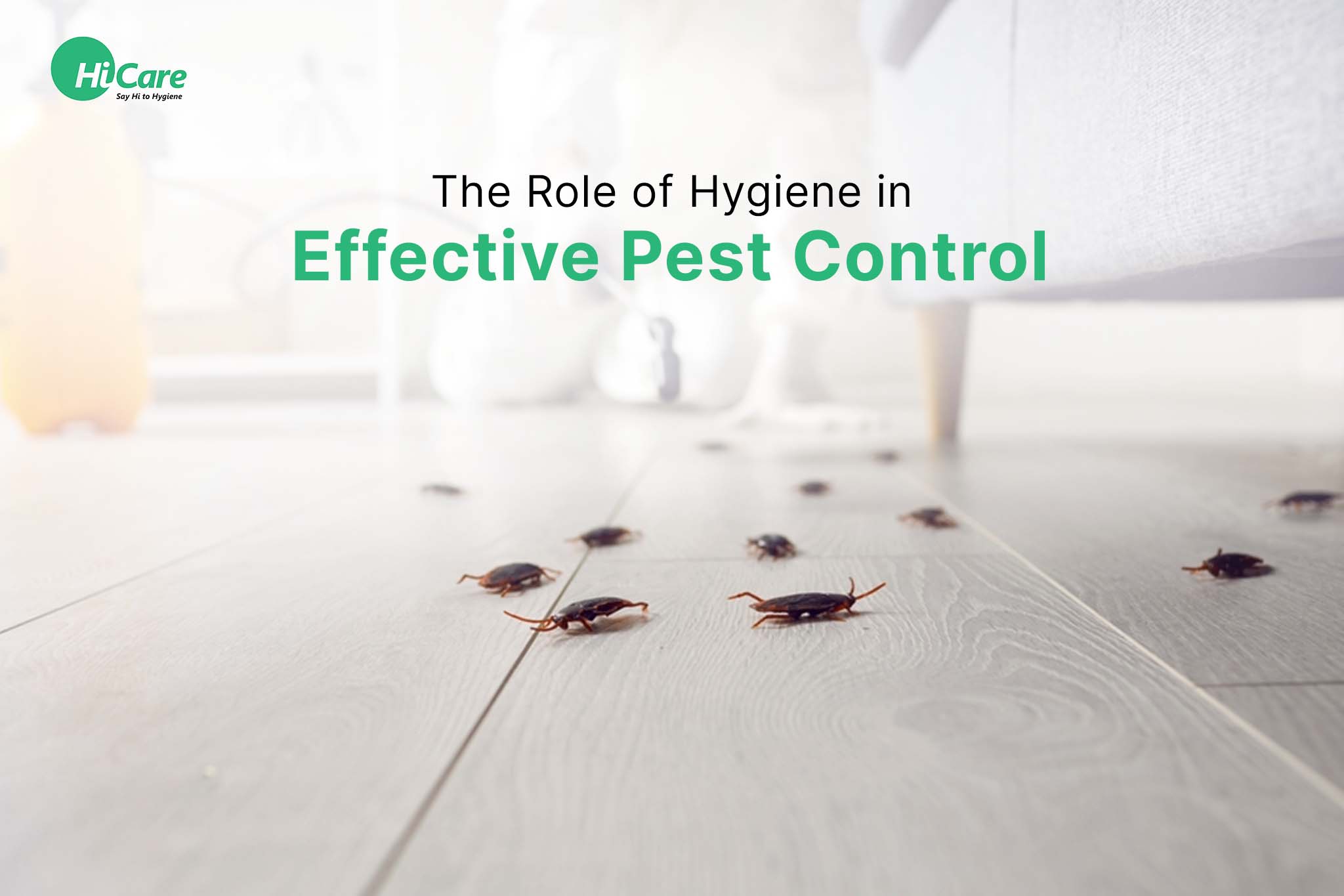 The Role of Hygiene in Effective Pest Control