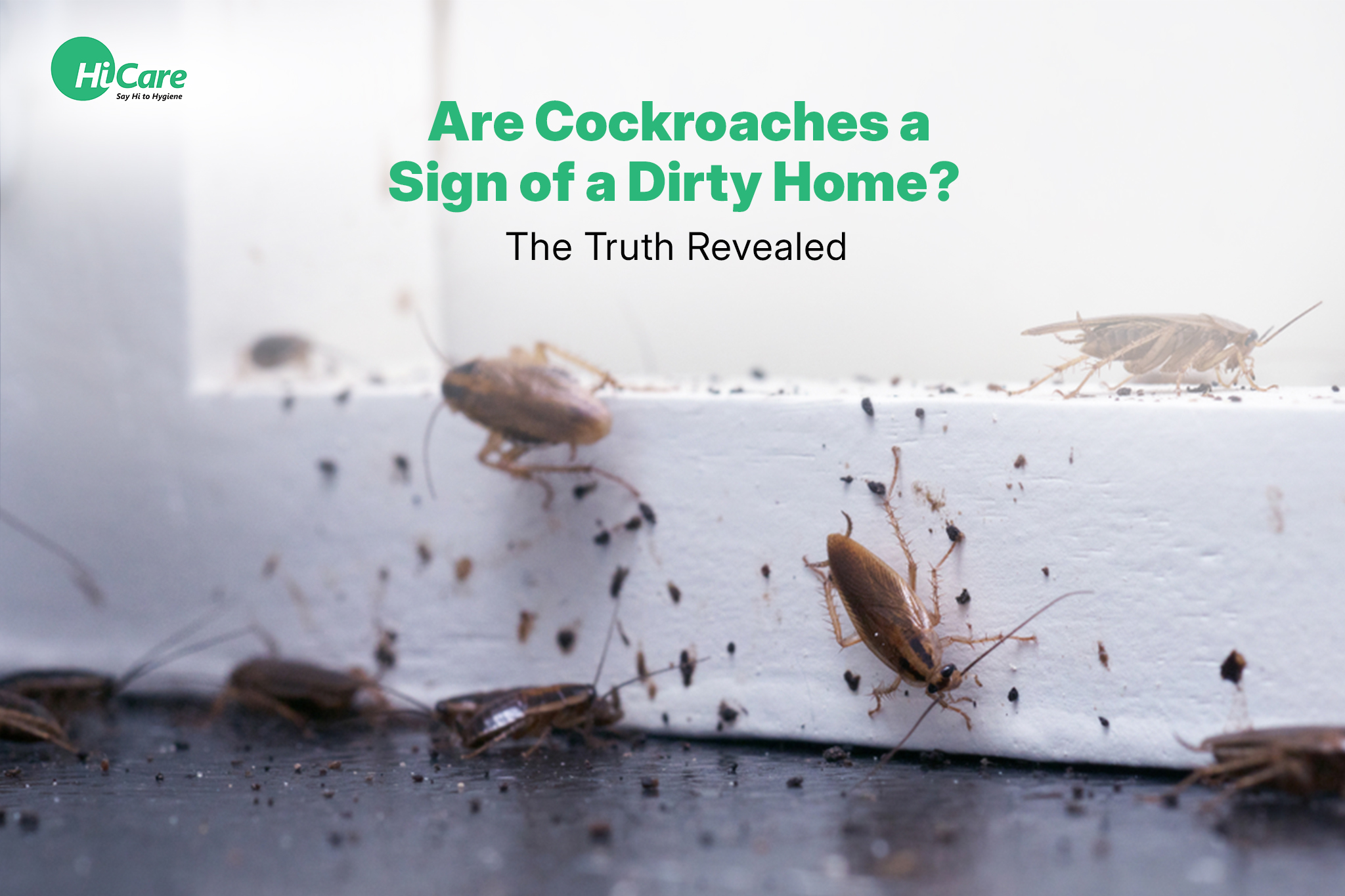 Are Cockroaches a Sign of a Dirty Home? The Truth Revealed