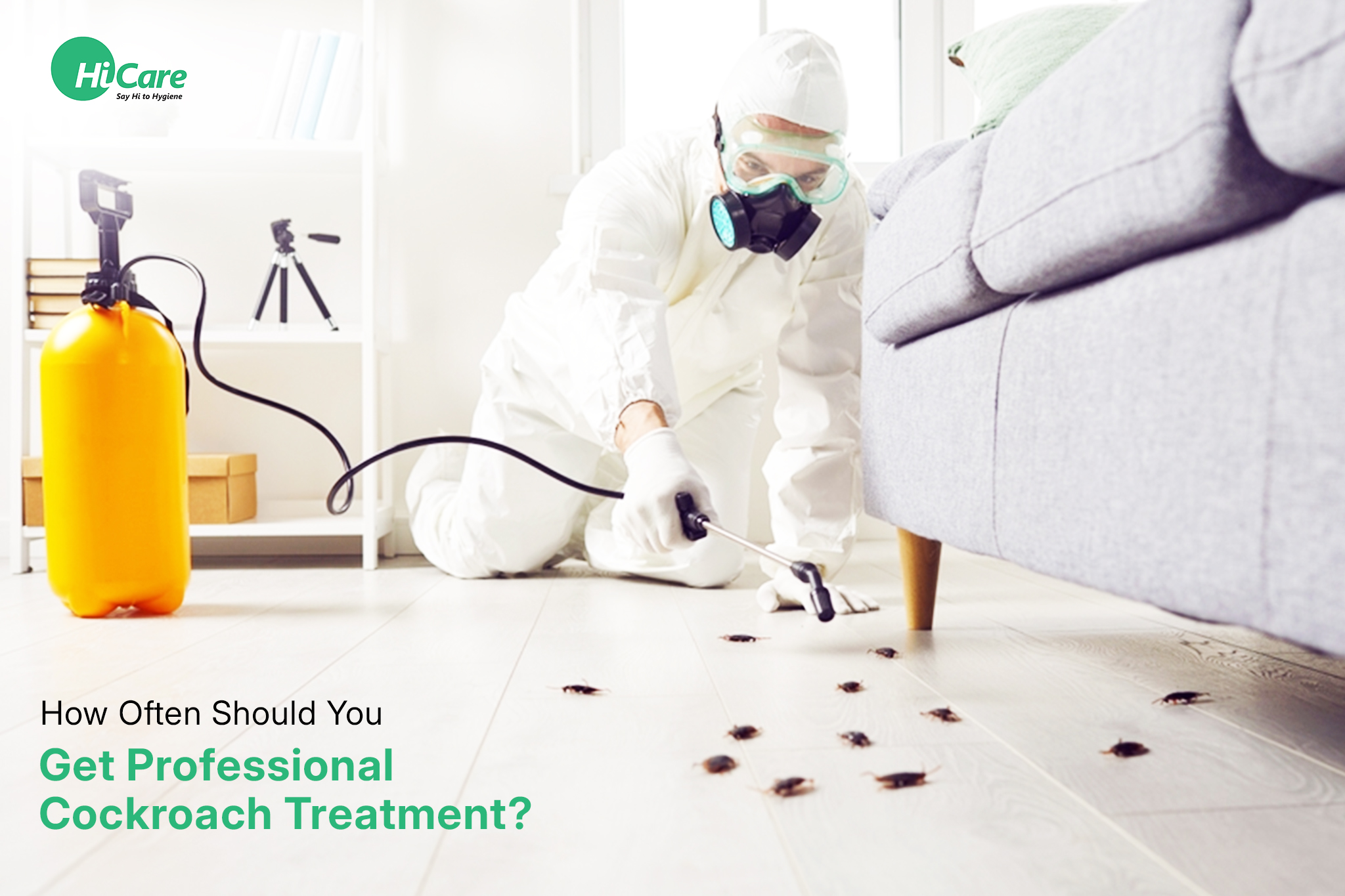 How Often Should You Get Professional Cockroach Treatment?