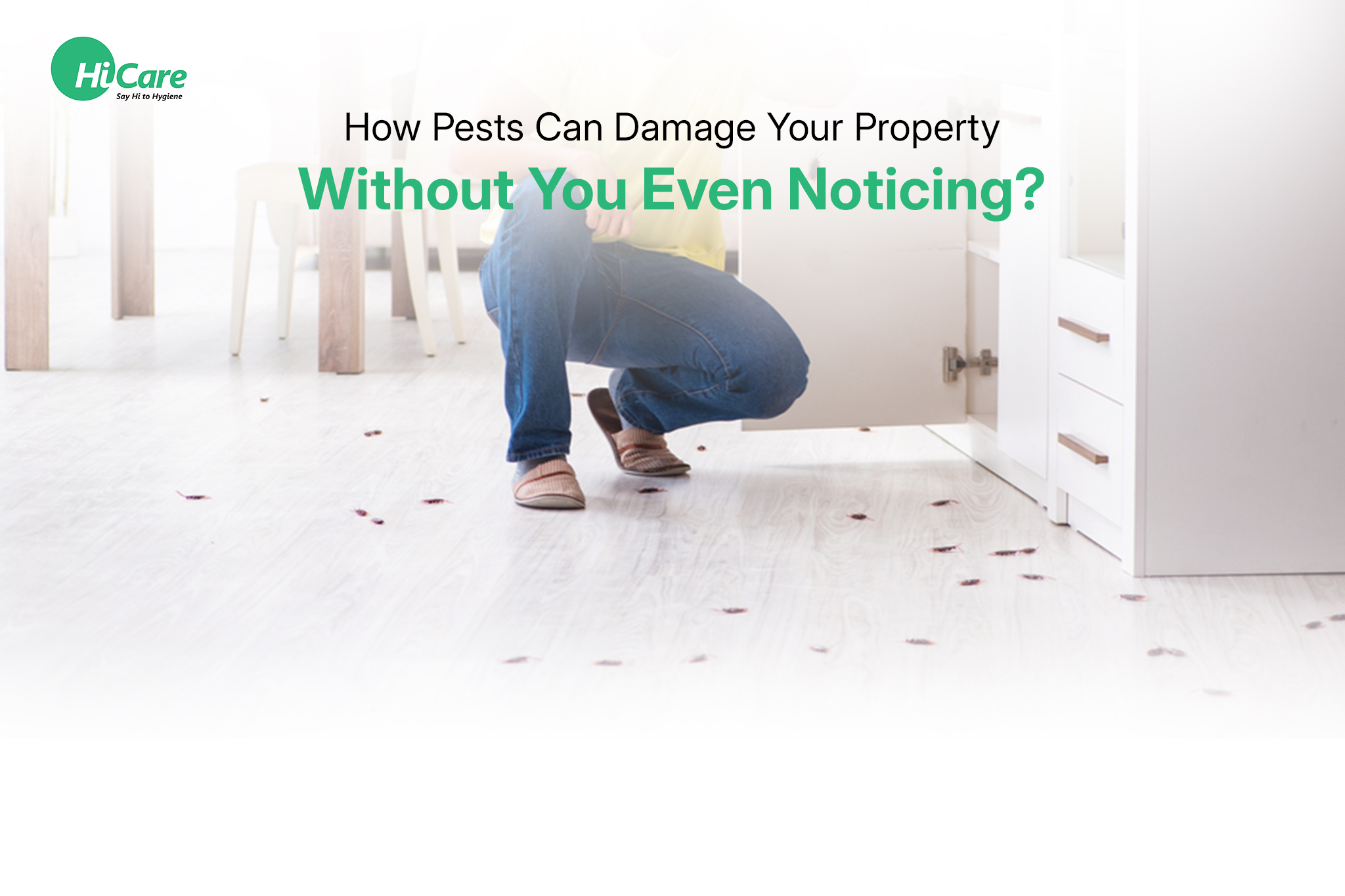 How Pests Can Damage Your Property Without You Even Noticing?