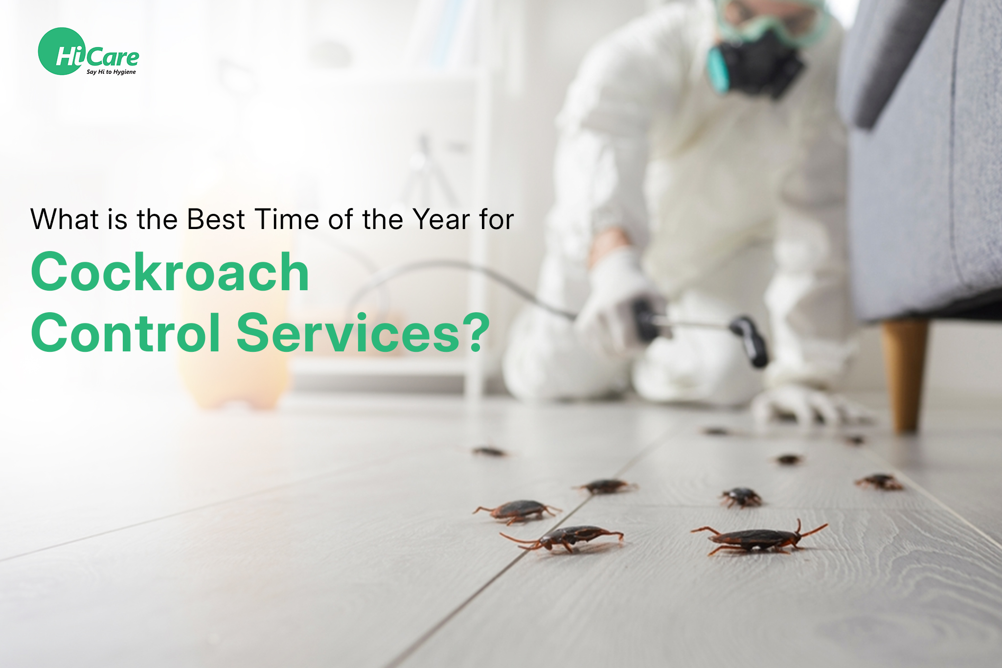 What is the Best Time of the Year for Cockroach Control Services?