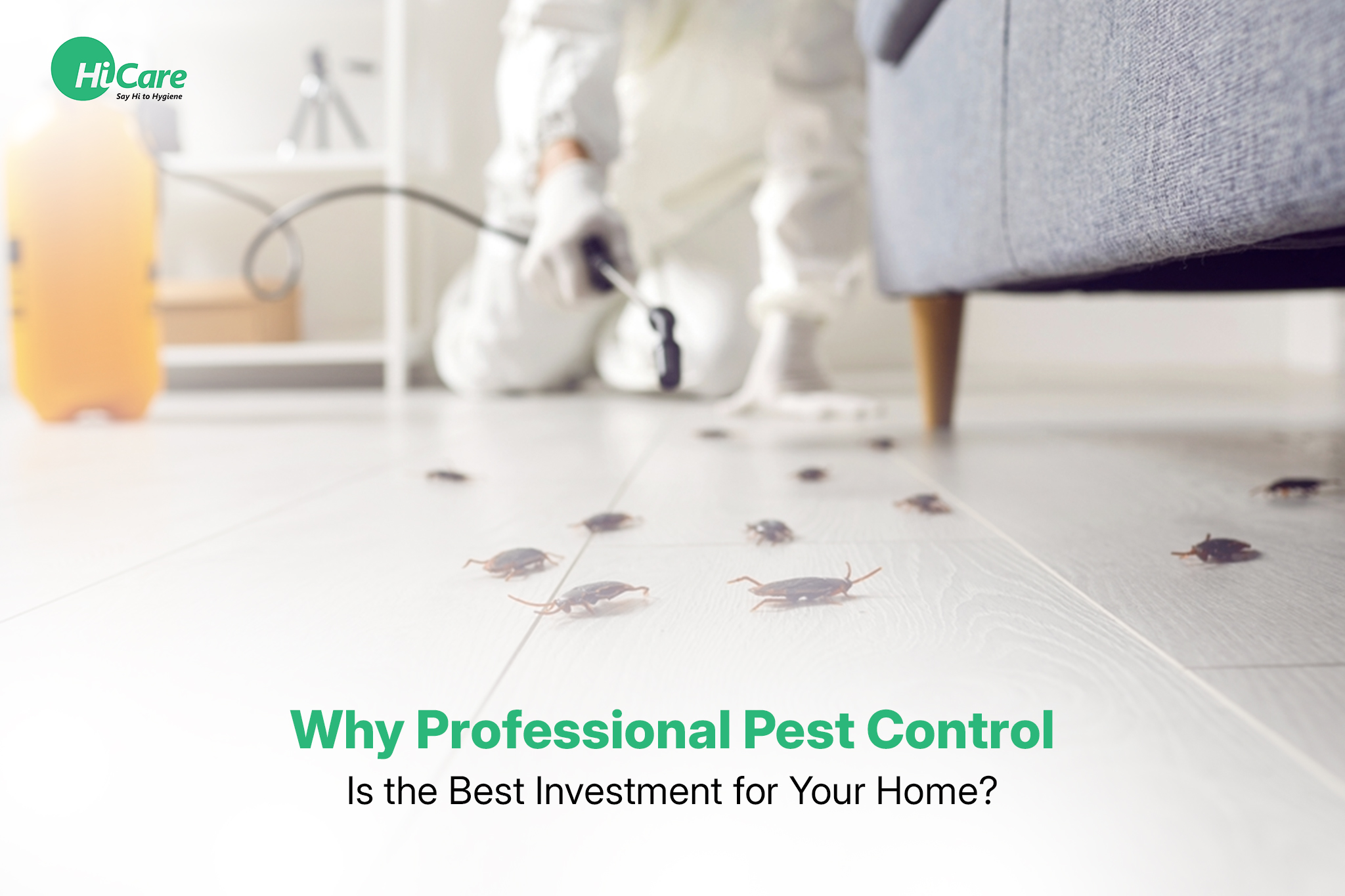 Why Professional Pest Control Is the Best Investment for Your Home?