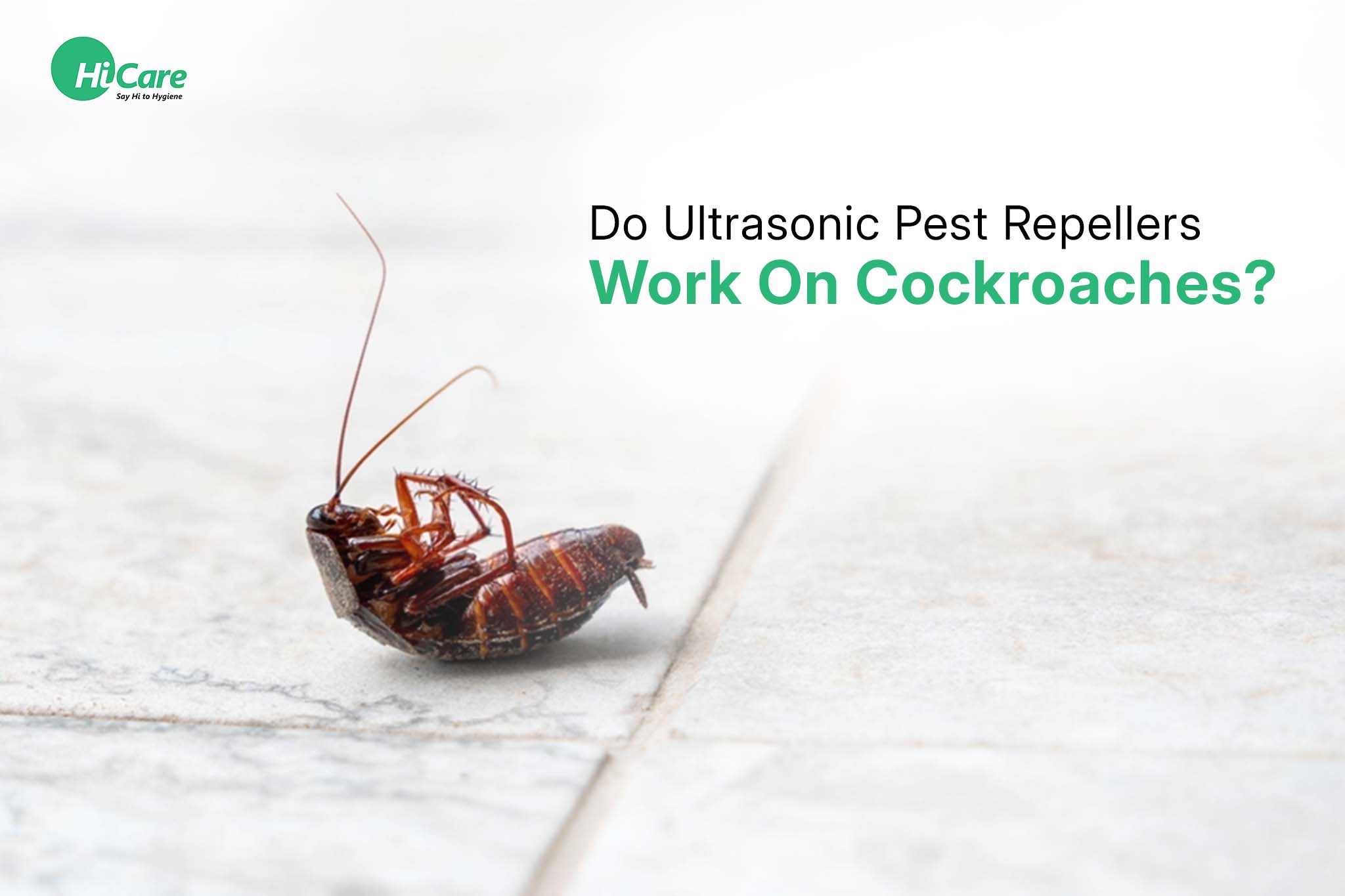 Do Ultrasonic Pest Repellers Work On Cockroaches?