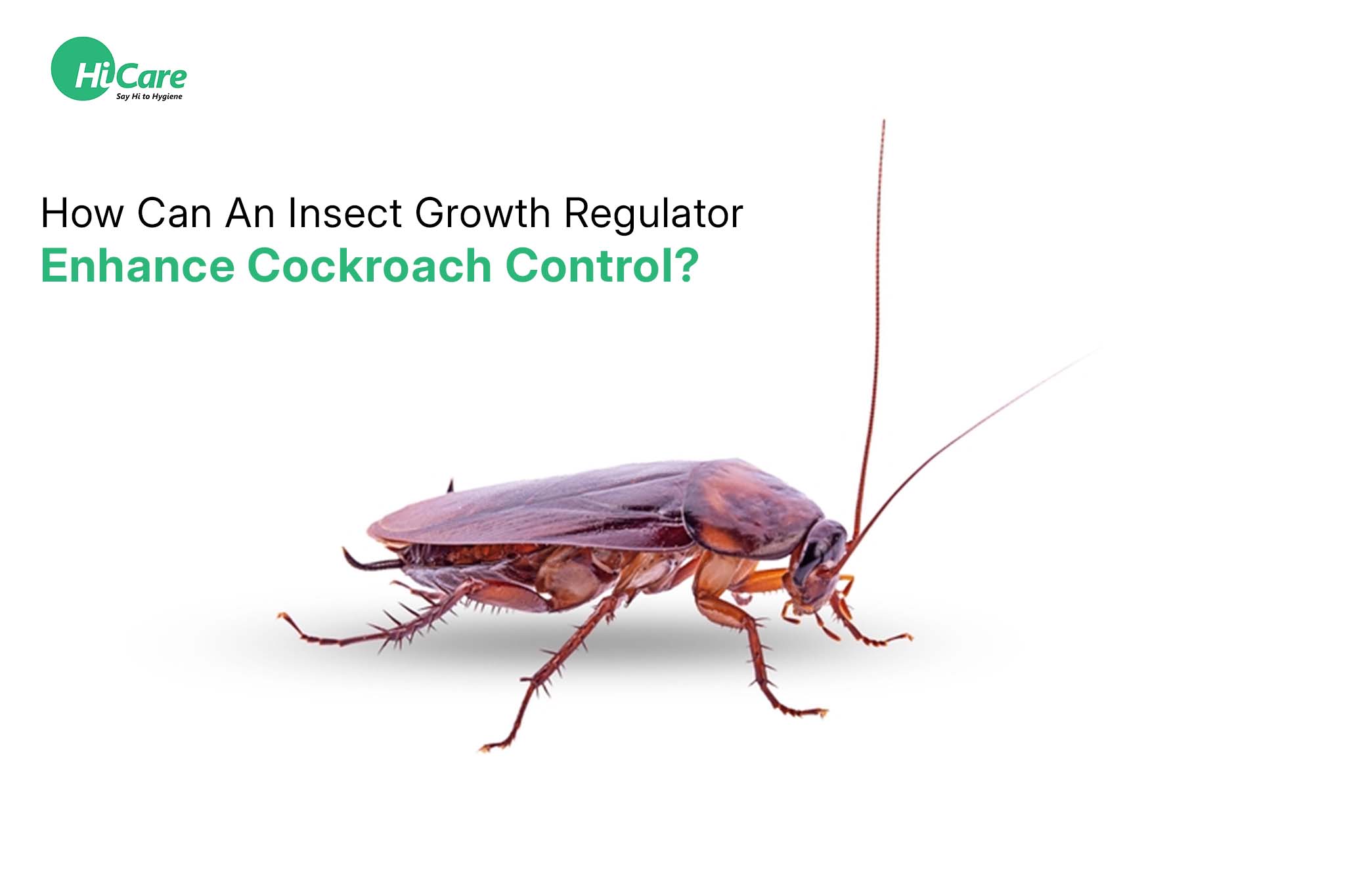 How Can An Insect Growth Regulator Enhance Cockroach Control?