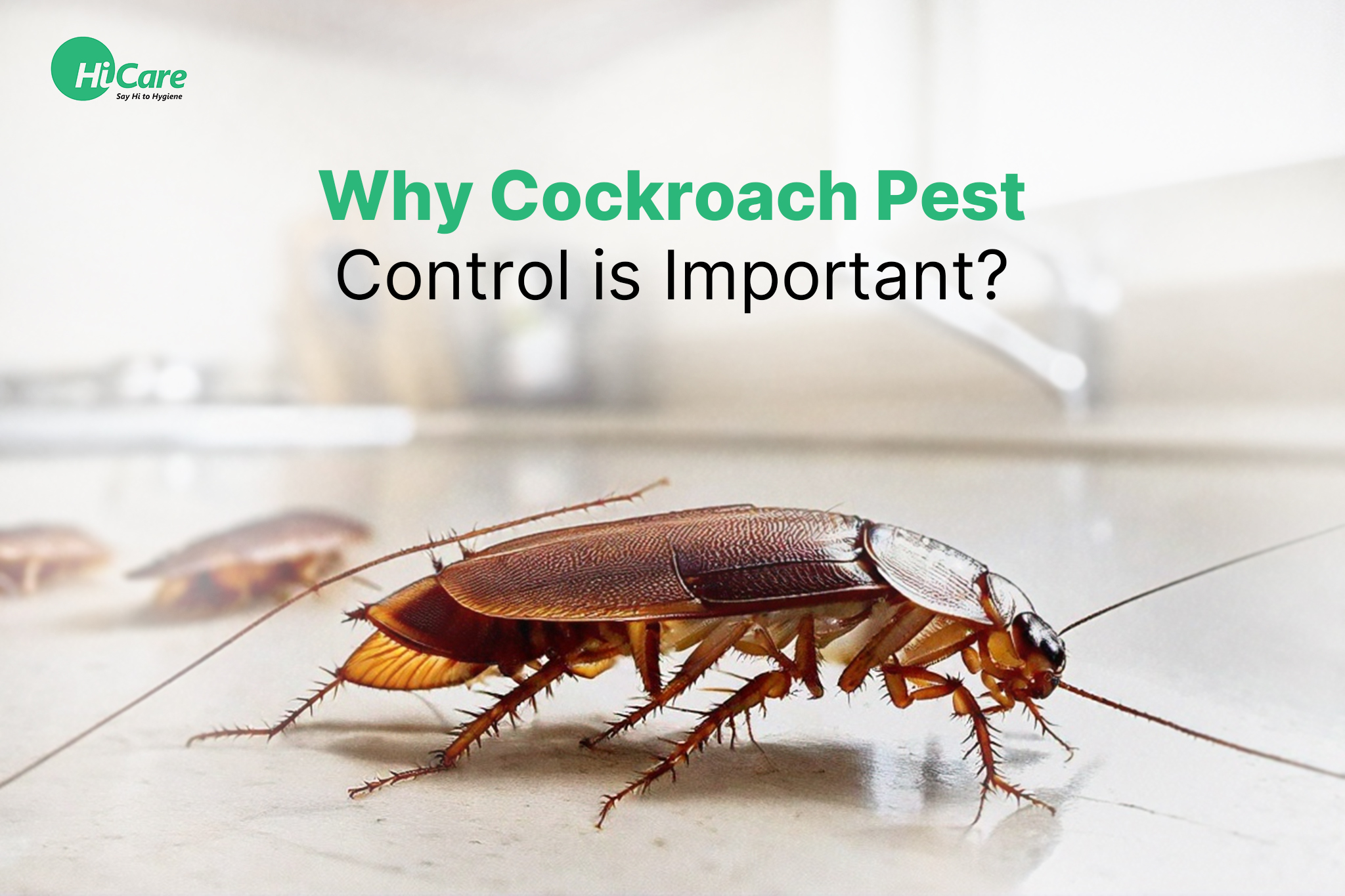 why cockroach pest control in important