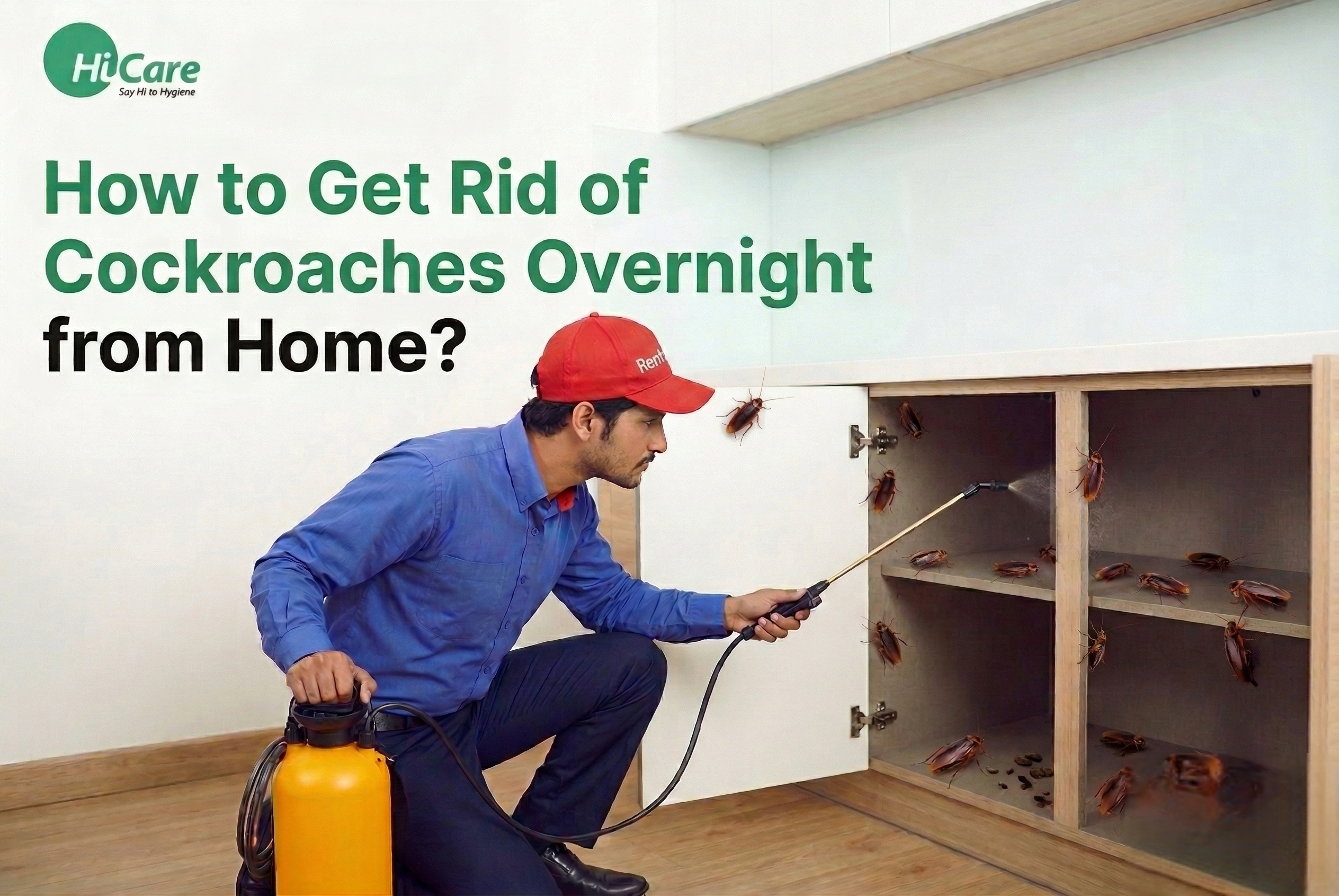 How to Get Rid of Cockroaches Overnight from Home?