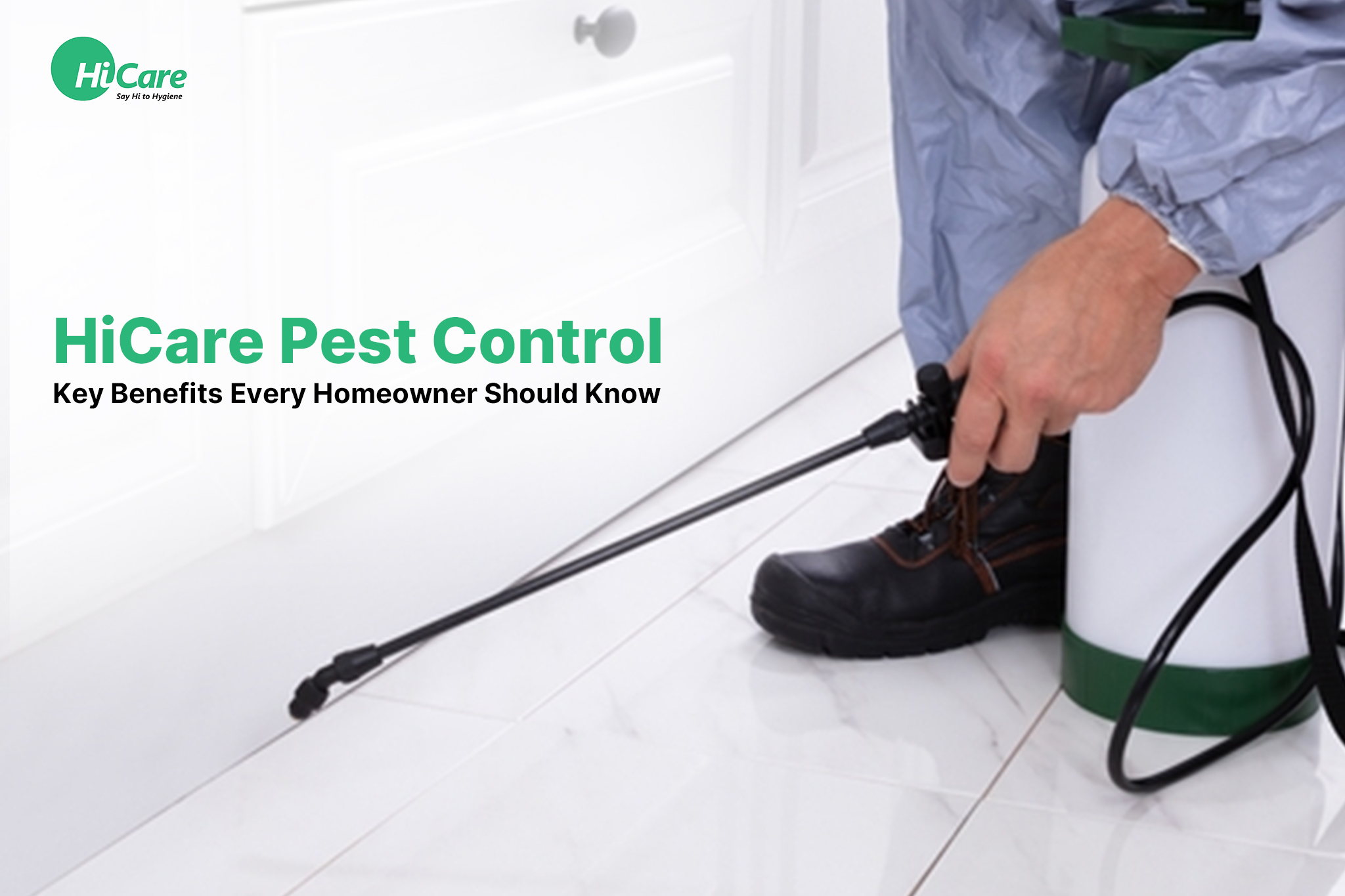 HiCare Pest Control: Key Benefits Every Homeowner Should Know