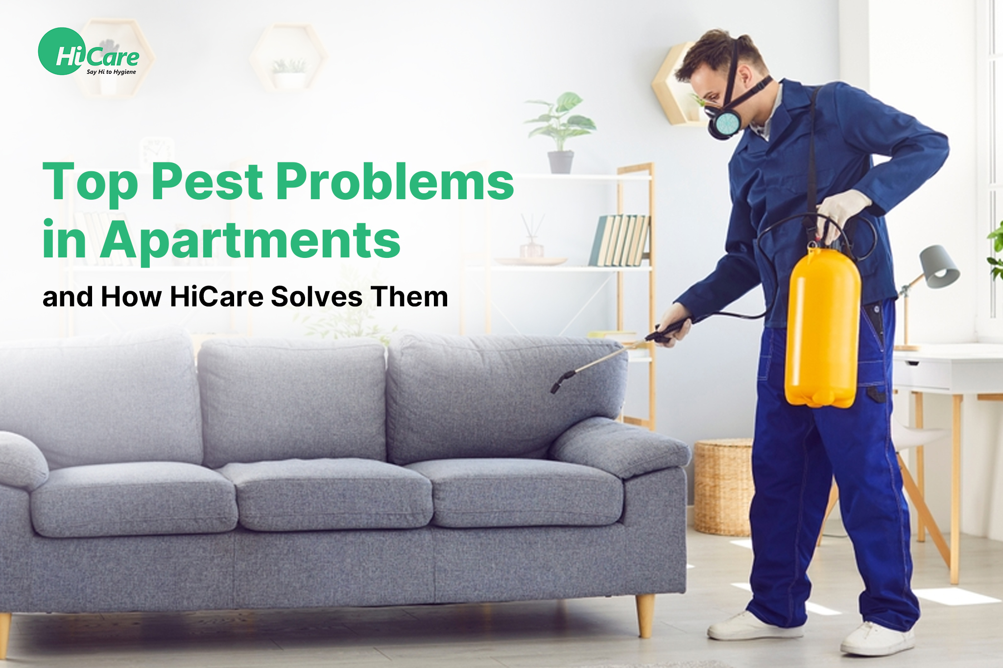 Top Pest Problems in Apartments and How HiCare Solves Them