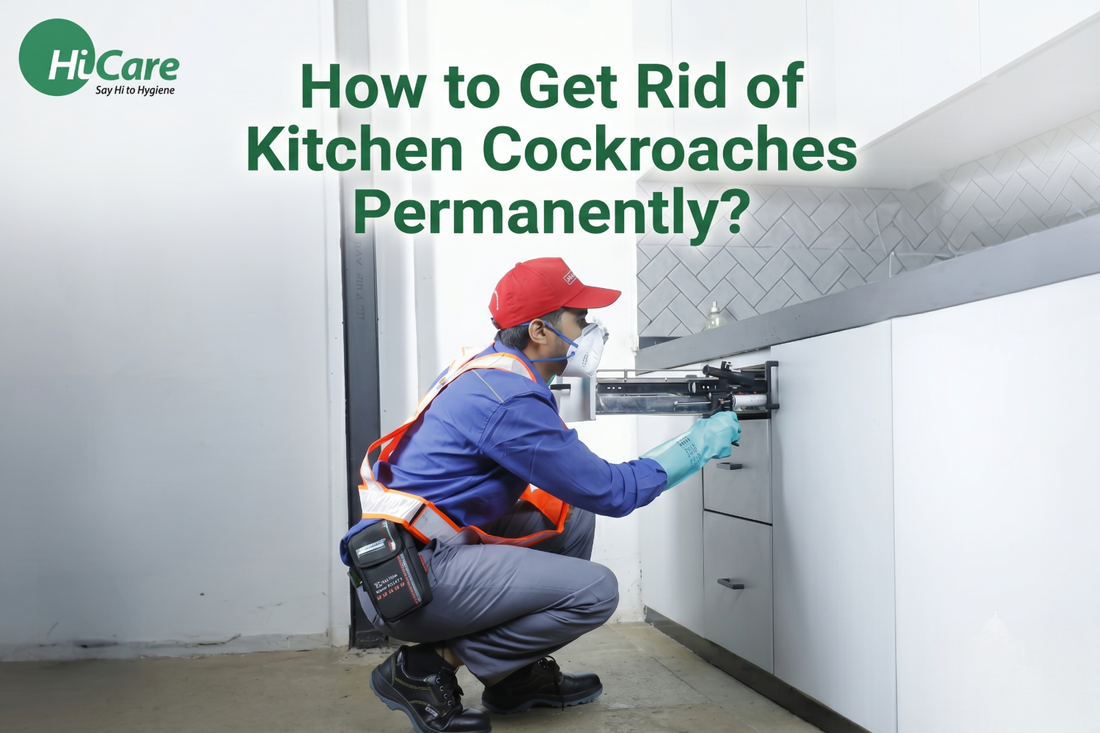 How to Get Rid of Kitchen Cockroaches Permanently?