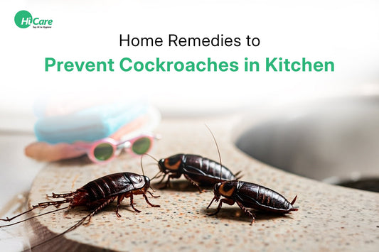 25 Home Remedies to Prevent Cockroaches in Kitchen