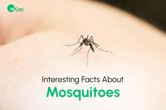 10 Interesting Facts About Mosquitoes - HiCare