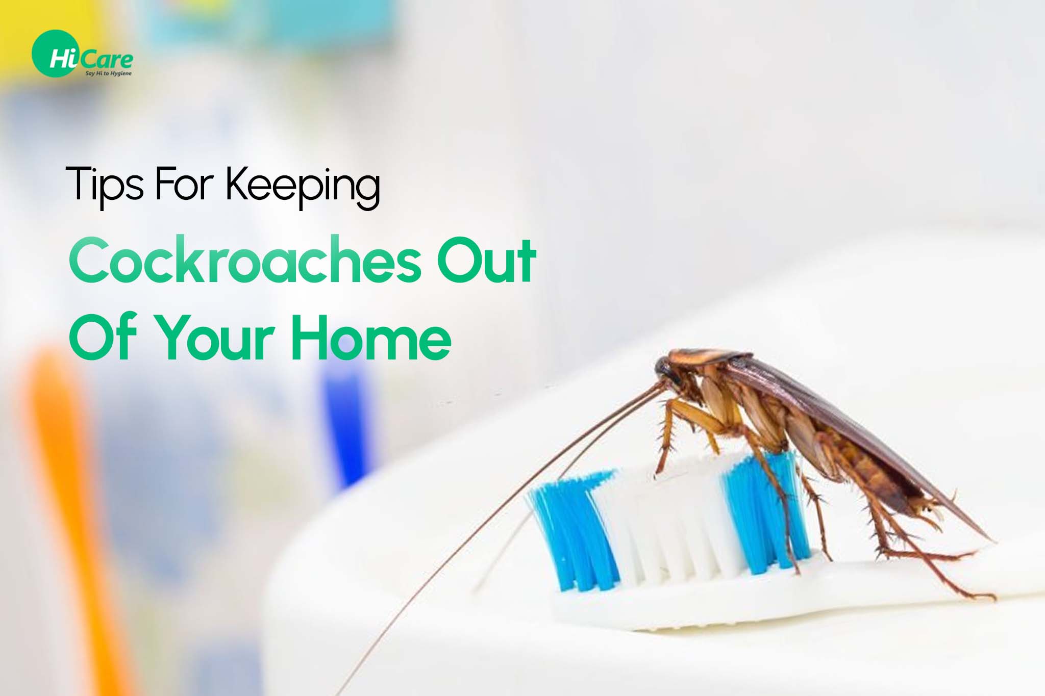20 Amazing Tips for a Cockroaches Free Home | HiCare – HiCare (A ...