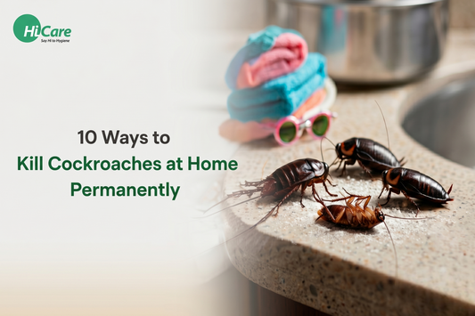 10 Ways to Kill Cockroaches at Home Permanently