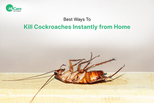 30 Best Ways To Kill Cockroaches Instantly from Home