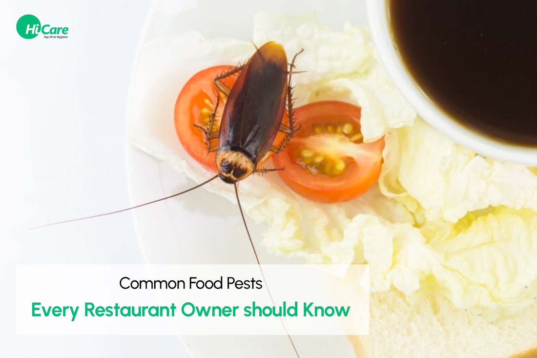 5 Common Food Pests Every Restaurant Owner should Know