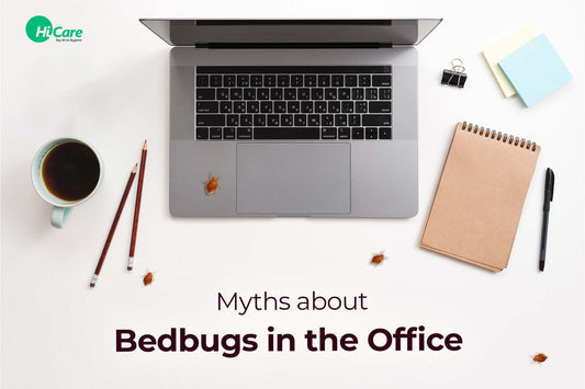 5 Myths about Bedbugs in the Office