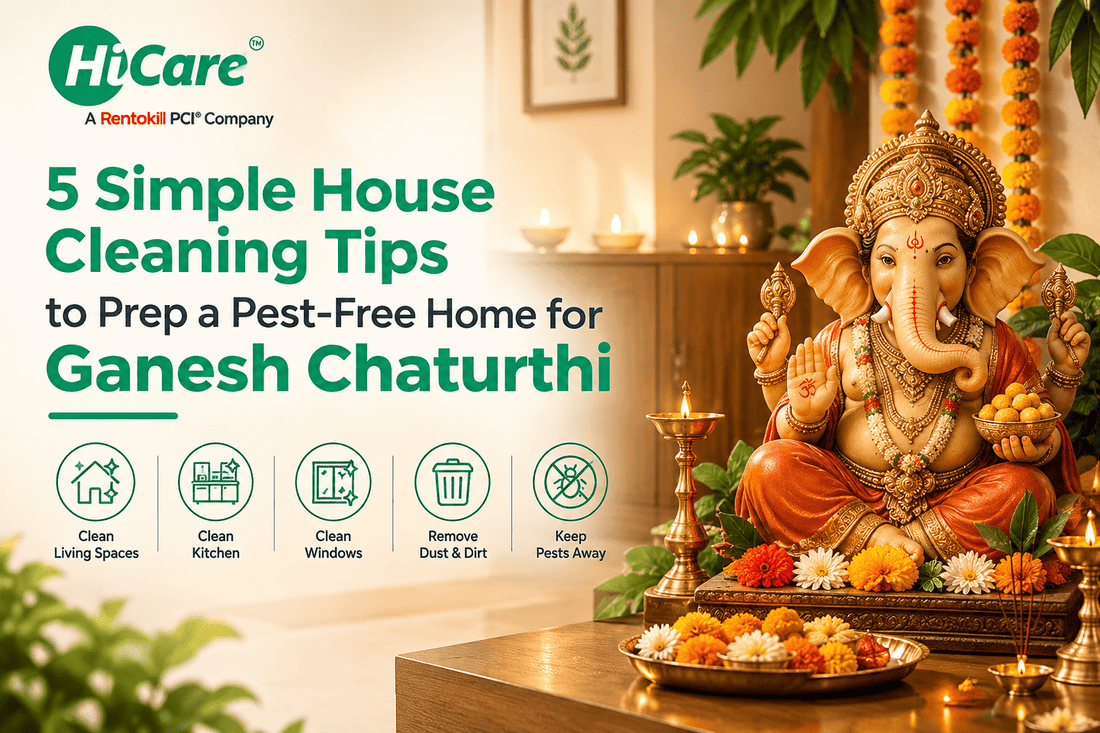 5 simple house cleaning tips to prepare a pest-free home for Ganesh Chaturthi