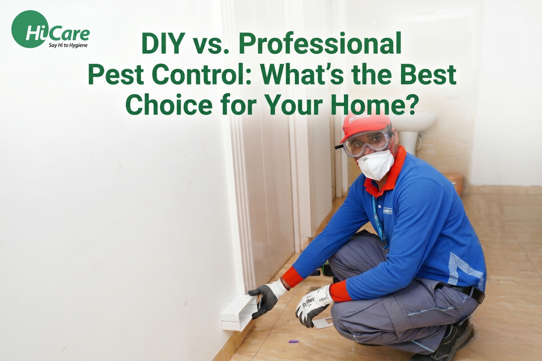 DIY vs. Professional Pest Control: What's the Best Choice for Your Home?