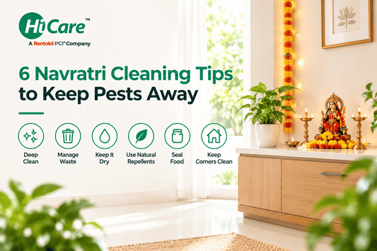 6 Navratri cleaning tips to keep pests away - HiCare home cleaning checklist