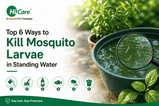 Top 6 ways to kill mosquito larvae in standing water