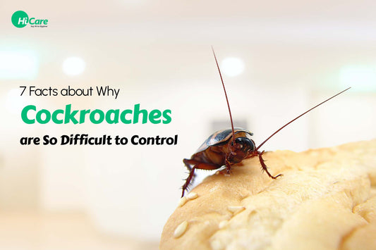 7 Facts about Why Cockroaches are So Difficult to Control