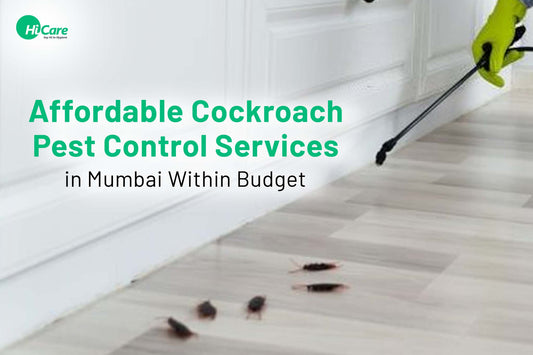 Affordable Cockroach Pest Control Services in Mumbai Within Budget