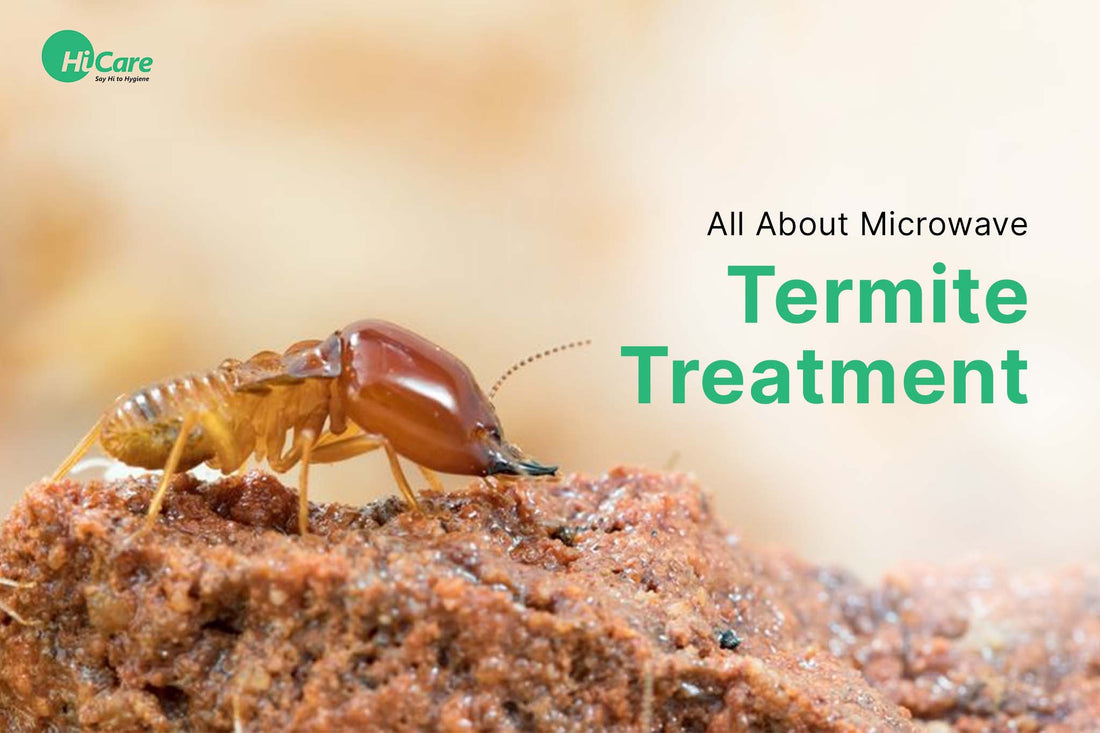 All About Microwave Termite Treatment