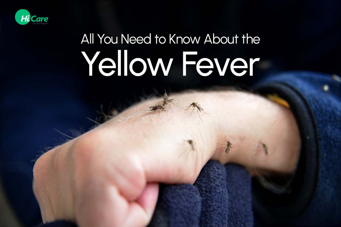 All You Need to Know About the Yellow Fever