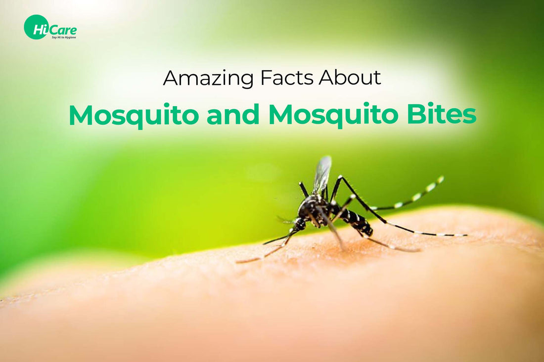 Amazing Facts  About Mosquito and Mosquito Bites