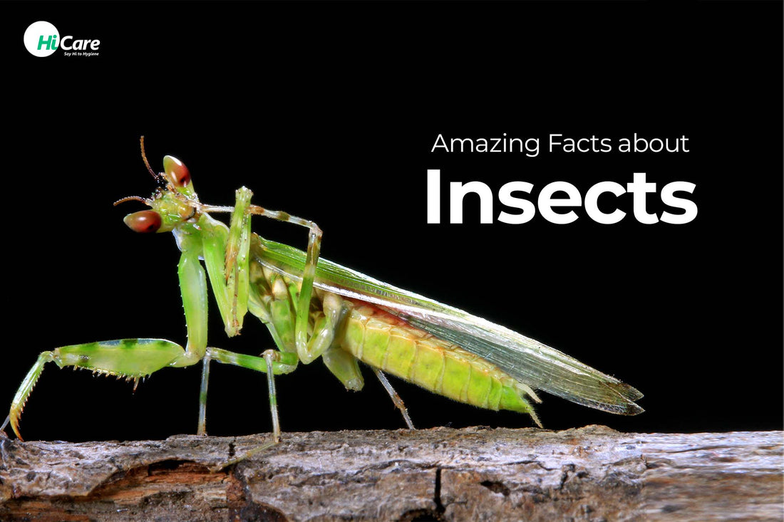 Well Know Insects Top 13 Amazing Facts about Insects You should Know | HiCare – HiCare (A ...