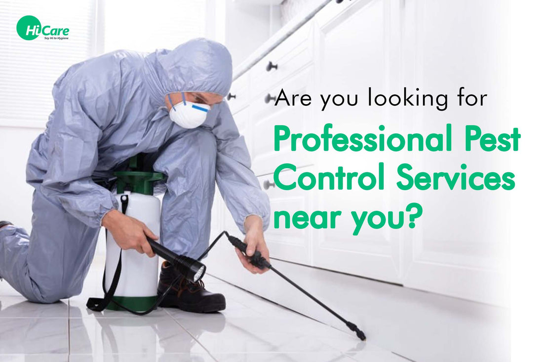 Are you looking for Professional Pest Control Services near you? | Book with hicare.in