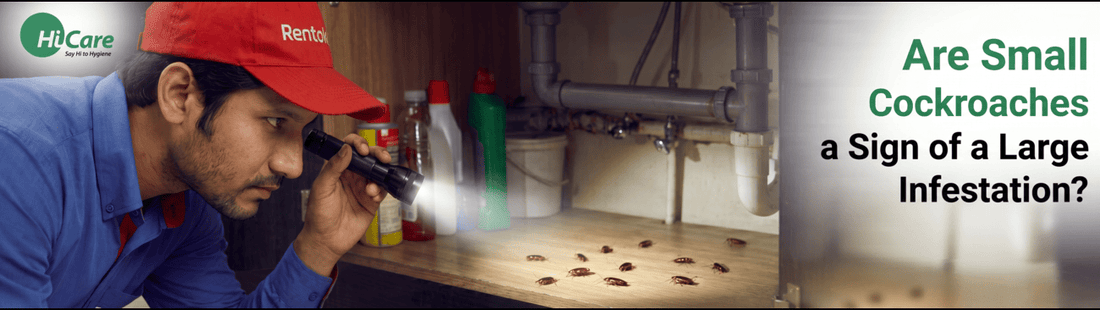 Are Small Cockroaches a Sign of a Large Infestation?